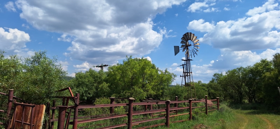 10 Bedroom Property for Sale in Swartruggens North West